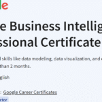 Google Business Intelligence Certificate – Google